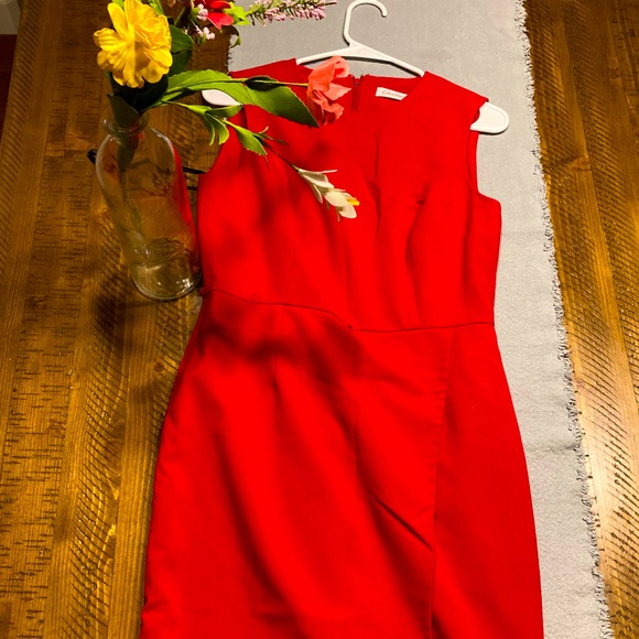 Calvin Klein Business Red Dress - Picture 1 of 3